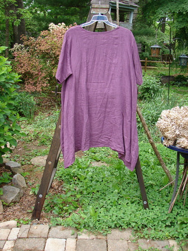 Barclay Linen Figure 8 Tunic Dress Garden Shadow Red Plum Size 2: A purple shirt on a clothes rack, close-up of a plant, and metal pole.