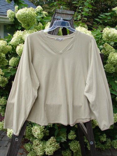 Image: A long sleeved shirt on a swinger. The shirt is a Barclay Round Hem V Neck Top in Cement, size 2. The shirt is made from mid-weight organic cotton. It has a V-shaped neckline, a rounded and paneled A-line shape, and a cropped length. The shirt is unpainted, allowing for easy mixing and matching with other pieces. The image also includes a close-up of a plant.