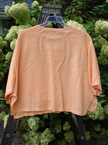 Image alt text: Barclay Linen Vented Crop Pocket Top on a swinger, featuring a V-shaped neckline, side vents, and pearlized buttons. Unpainted Sherbet color. Size 2.