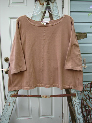 A brown Barclay Center Seam Playful Crop Tee Top on a ladder. Three quarter length sleeves, a wider boatneck flattened neckline, and a sweet A-line shape. Unpainted for easy layering. Size 1 in nutmeg.
