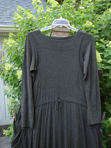 2000 Rayon Lycra Midi Bubble Trio Sparkle Border Charcoal Size 1 2: A dress on a swinger with a grey dress on a clothes rack and a close-up of a plant.