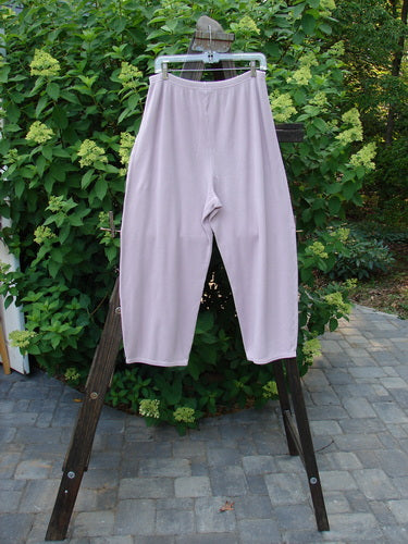 A pair of Barclay Thermal Single Pocket Pants in Mallow, made from medium weight cotton thermal. Features include a full elastic waistline, slightly tapered shape, longer inseam, and a painted exterior pocket accent. These cozy pants are perfect for the spring collection.