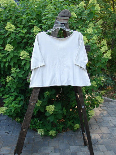 Image alt text: Barclay Crop Tee Top with Bountiful Cacti design on a clothes rack in natural color, showcasing a wider rounded neckline and generous short sleeves.