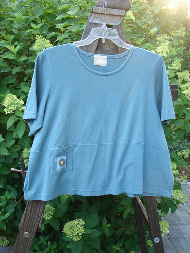 2000 Pocket Crop Tee Top Earth Day Blue Mineral Size 2: A blue shirt on a swinger with a wood post, metal object, and plant close-ups.