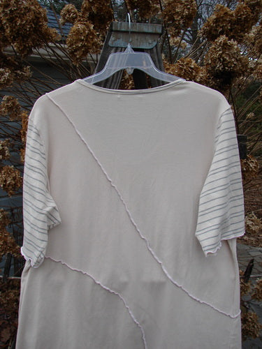 Image alt text: Barclay Slant Stripe Form Top in Natural, size 2, on a hanger