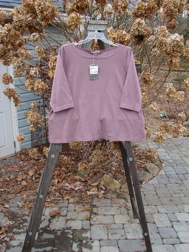 Image alt text: Barclay NWT Center Seam Playful Crop Tee Top, unpainted Rosewood, size 2, on a clothes rack outdoors.