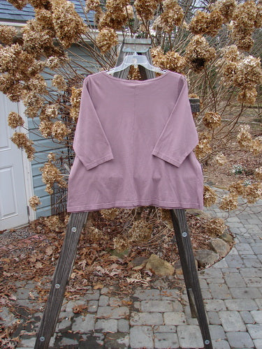 A pink and purple shirt on a swinger, featuring a center seam and three-quarter length sleeves. Made from organic cotton, this playful crop top is from the Barclay NWT Center Seam Playful Crop Tee Top collection in Rosewood. Size 2.
