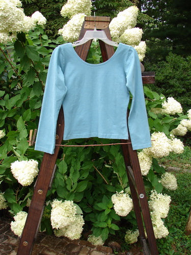 1995 Long Sleeved Layering Top Unpainted Watercolor Tiny Size 1: Blue shirt on wooden rack, close-up of white flower.