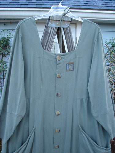 2000 NWT 4 Leaf Clover Dress: Long-sleeved shirt on a wooden board. Unique laced backing, squared neckline, oversized wrap front pockets, flared hemline, tapering sleeve panels, empire waist seam. Accented by pleats, gathers, leaf window paint, and Blue Fish buttons.