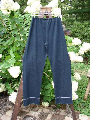 A pair of Barclay Cotton Hemp Banded Straight Pants in Black, hanging on a clothesline. Perfect condition, lighter weight blend with forgiving feel. Size 2.