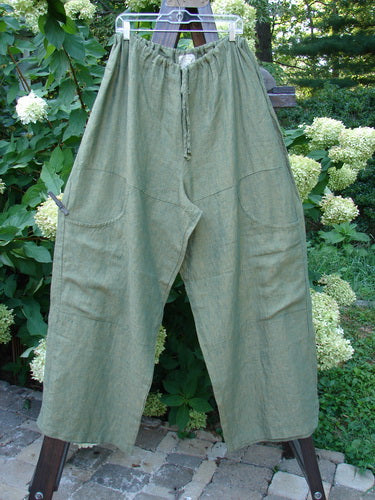 Image alt text: "2000 Cross Dye Linen Map Pocket Pant in Meadow, Size 2, hanging on a fence with a brick walkway in the background"