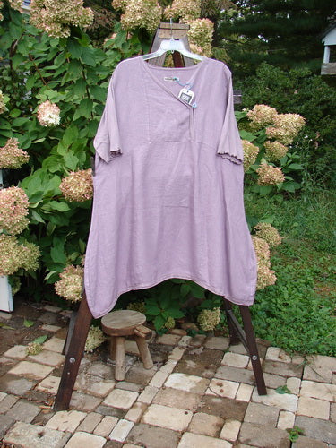Barclay NWT Linen Lace Blooming Tunic Dress, lavender, size 2, with cross over neckline, empire waist seam, button overlay lace trim, and scallop-edged sleeves.