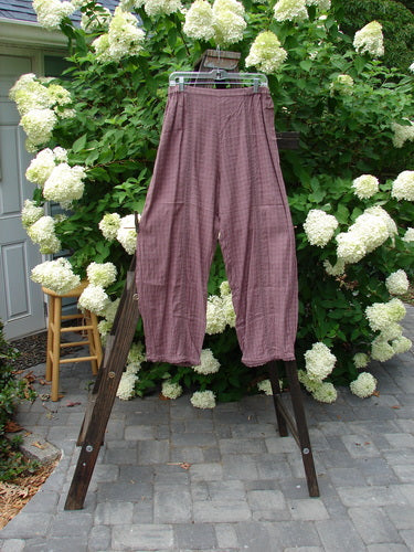 1998 Basket Weave Tencel Zoe Pant Unpainted Elderberry Size 1: A pair of pants on a rack with lacy accents and tapered lowers.