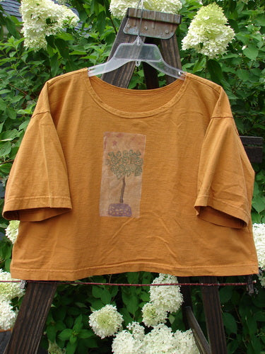 1994 Short Sleeved Boxy Tee Top Topiary Dijon OSFA: A shirt on a swinger featuring a detailed sun fellow theme paint.