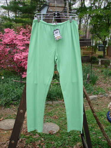 Barclay NWT Cotton Lycra Bally Layering Pant Legging Unpainted Spearmint Size 2: A close-up of a green pants on a clothes rack, perfect for layering.