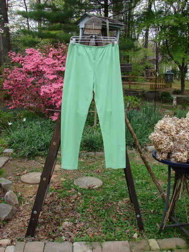 Barclay NWT Cotton Lycra Bally Layering Pant Legging Unpainted Spearmint Size 2: A pair of green pants on a clothes rack, perfect for casual wear.