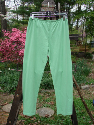 Barclay NWT Cotton Lycra Bally Layering Pant Legging Unpainted Spearmint Size 2: A close-up of a pair of green pants on a clothesline.