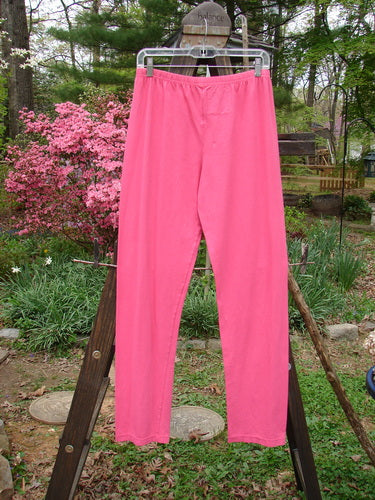 Barclay NWT Cotton Lycra Bally Layering Pant Legging Unpainted Flamingo Size 2: A pair of pink pants on a clothesline, perfect for layering.