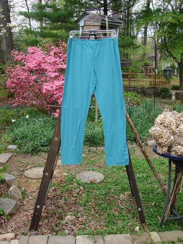 Barclay NWT Batiste Layering Pant Legging Unpainted Turquoise Size 2: A pair of pants on a rack, perfect for layering.
