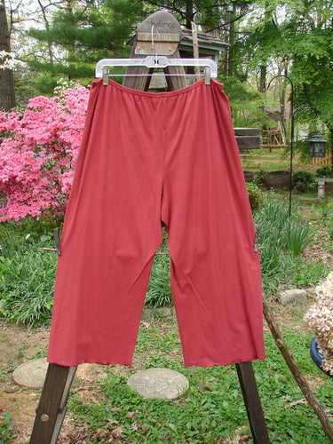 A pair of red pants on a rack, featuring the Barclay Crop Tiny Tab Pant in Ruby. Made from medium weight cotton lycra, these pants have a full elastic waistband, slightly narrowing lower, and lettuce-edged swinging lowers. This unpainted piece is a fun and versatile addition to your wardrobe. Available in size 2.
