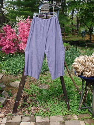 Barclay Linen Crop Drawstring Lounge Pant Unpainted Lavender Size 1: A pair of pants on a clothes rack, featuring a banded waistband, crop length, and lower contouring with a banded cuff.