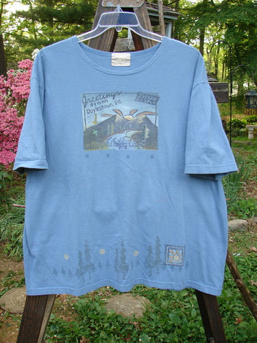 2000 Short Sleeved Tee Greetings Doylestown Bluestone Size 1: Blue tee with a picture of a mountain, perfect condition, mid-weight organic cotton. Rolled neckline, drop shoulders, boxy shape. Bust 58, waist 58, hips 58, length 30.