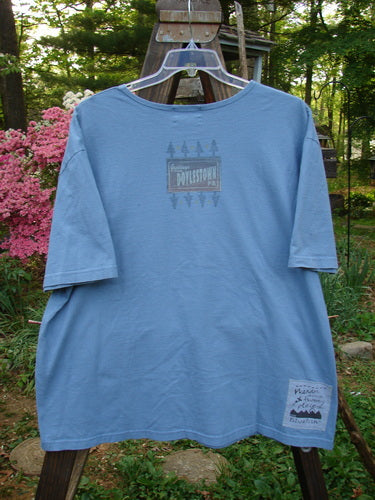 2000 Short Sleeved Tee Greetings Doylestown Bluestone Size 1: Blue shirt on a swinger with drop shoulders and a slightly boxier shape. Features a rolled and ribbed neckline, Blue Fish patch, and Doylestown theme paint. Bust 58, Waist 58, Hips 58, Length 30.