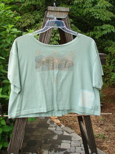 1994 NWT Song Top Mandolin Aloe Size 1: Vintage cotton jersey shirt on a swinger with wide boxy shape, shallow neckline, painted breast pocket, and Blue Fish patch.