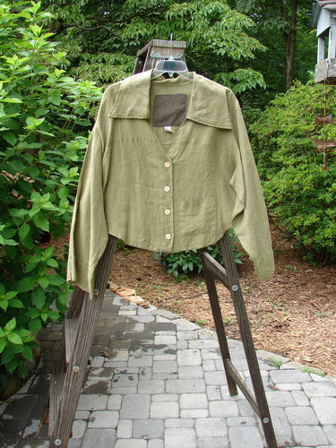 Barclay Linen Crop Collar Pocket Jacket in Peapod, Size 2. Wide collar, V neckline, longer sleeves. Front drop pocket, rounded hemline. Full button front.