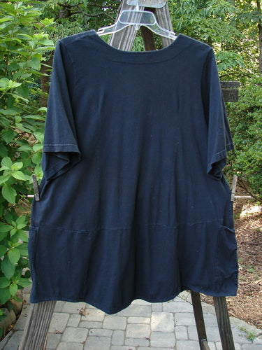 Image alt text: Barclay Be There Top, a blue shirt with wide pleats and an empire waist seam, made from organic cotton. Size 2.