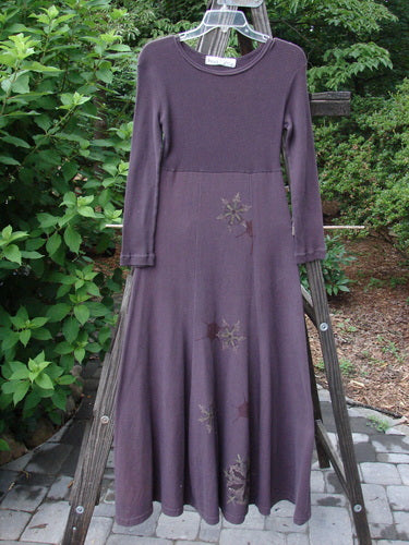 Image: A purple dress with a flower design on a clothes rack. 

Alt text: 1998 Rib Top Dress Snowflake Morado Size 0 - A purple dress with a flower design on a clothes rack.