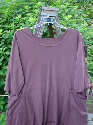 Barclay Curly Edge A Line Pocket Tunic Top Unpainted Raisin Size 1: A purple shirt on a swinger with a pair of glasses on a wooden stand.