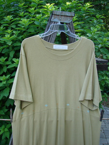 1998 Botanicals Calla Dress Puff Flower Seed Size 2: A shirt on a swinger, featuring a green shirt on a swinger with a softly folded neckline, drop shoulders, and a sweet upward scooped hemline.