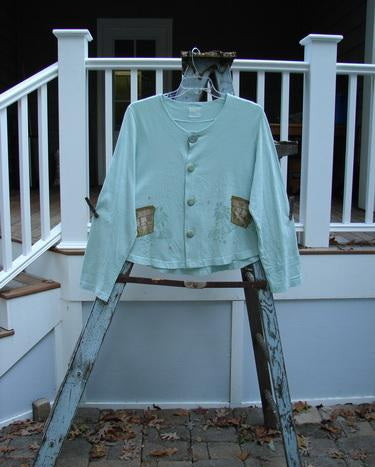 1999 Coffee Top Flowerpot Mint Size 1: Blue shirt on a ladder, close-up of sweater sleeve, ladder with sheet, leaves on brick floor
