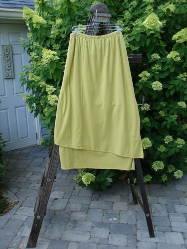 Barclay NWT Double Layer Prospect Park Skirt: A skirt on a rack with a yellow floral theme paint. Made from organic cotton. Waist 30-40, Hips 54, Length 38. Size 2.