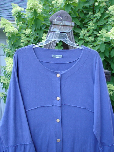 Barclay Hemp Cotton Two Tier Sectional Jacket Unpainted Bloomsberry Size 2: A blue shirt on a swinger with swingy side inserts, cuff able lower sleeves, and sectional panels.