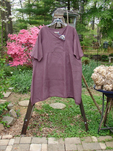 Barclay NWT Linen Lace Blooming Tunic Dress, size 2, on clothes rack with floral lace trim and cross-over neckline.
