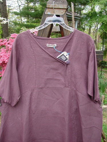 Barclay NWT Linen Lace Blooming Tunic Dress on a swinger with cross-over neckline and lace trim.